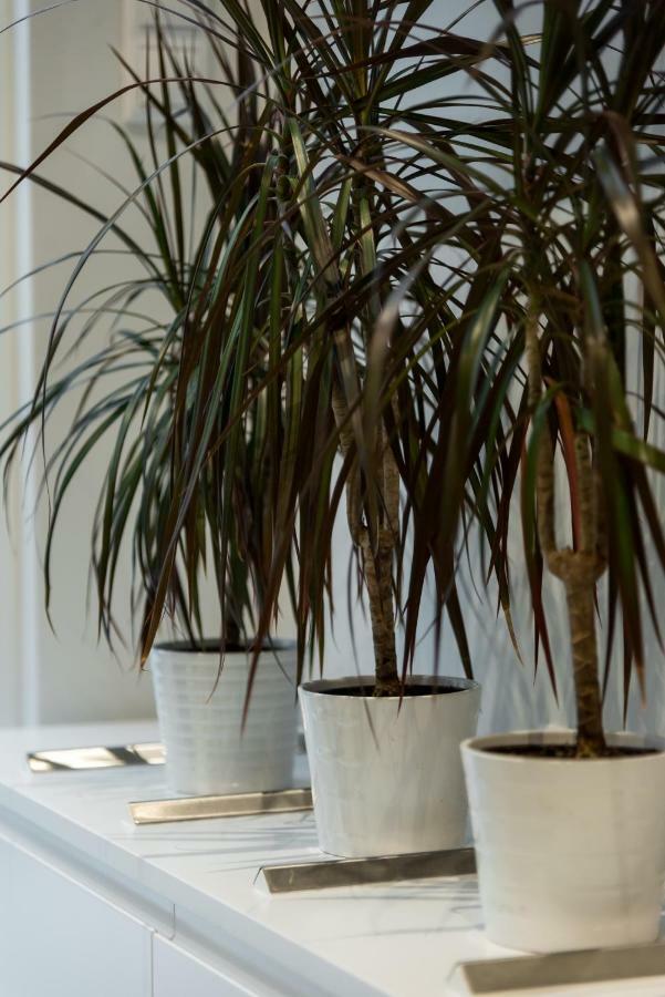Central Cozy Studio With A Secret Garden Athens Ngoại thất bức ảnh